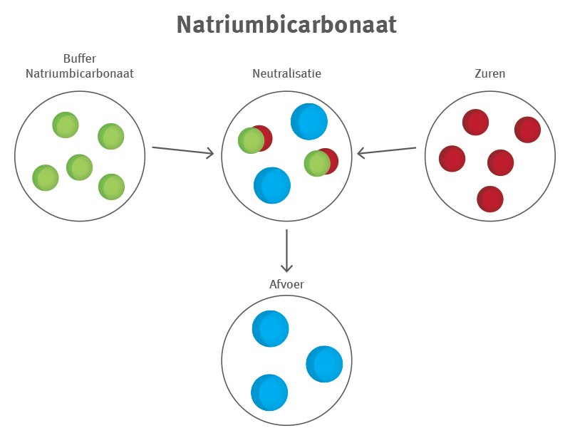 Natrium - ontzuren - lichaam