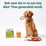 Alka® Thee